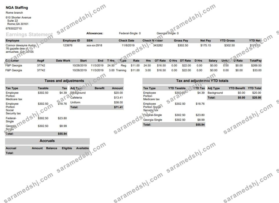 NGA Staffing pay stub in PDF and Word format